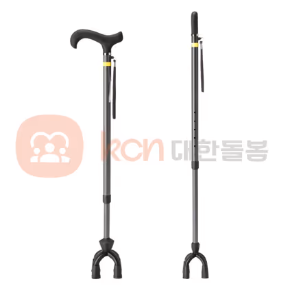 지팡이 복지용 남성 지팡이 백건 01